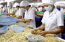 Vietnam ingresa monto multimillonario por ventas de productos agrícolas, acuícolas y silvícolas