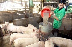 Laos suspende importaciones de carne de cerdo de China