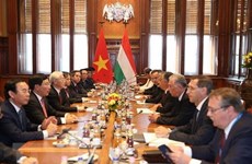Vietnam y Hungría acuerdan elevar sus nexos a nivel de asociación integral