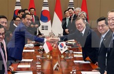 Corea del Sur e Indonesia prometen esfuerzos para reforzar su asociación estratégica