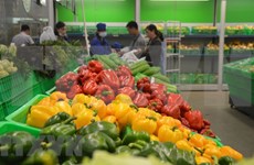 Disminuyen importaciones vietnamitas de vegetales de Tailandia