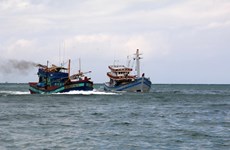 Corea del Sur y Vietnam fortalecen intercambio de experiencias en gestión de pesquería