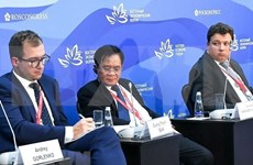 Activa participación vietnamita en Foro Económico Oriental en Rusia