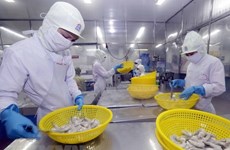 Subida de suministro global afecta a exportaciones de camarones de Vietnam 