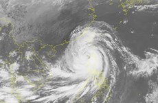 Vietnam se prepara para enfrentar el sexto y más fuerte tifón en 2018 