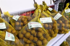 Vietnam promueve sus productos en mercado africano 