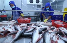 EE.UU. reconoce estándares de calidad de pescados sin escamas de Vietnam  
