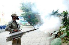 Reportan en Hanoi 136 casos con dengue en última semana