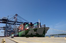 Construirán centro logístico y puerto marítimo Cai Mep Ha en provincia survietnamita