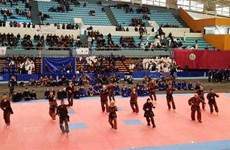 Impulsan la práctica de artes marciales vietnamitas en Argelia