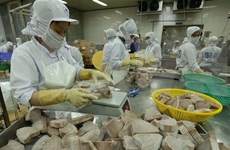 Exportaciones acuícolas de Vietnam podrán alcanzar nueve mil millones de dólares en 2018  