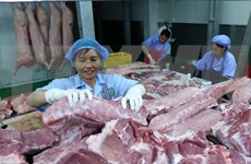 Empresas estadounidenses proponen elevar exportaciones de carne de cerdo a Vietnam
