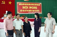 Presidenta interina de Vietnam se reúne con votantes
