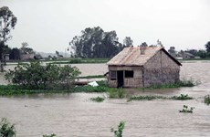 Expertos de Vietnam recomiendan incluir prevención contra desastres en plan socioeconómico 