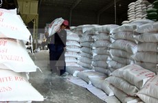 Vietnam ingresa dos mil 500 millones de dólares por la venta de arroz en nueve meses
