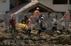 Indonesia acelera últimos esfuerzos en búsqueda de desaparecidos por terremoto y tsunami
