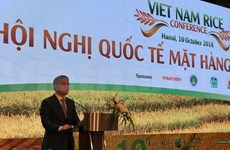 Vietnam por promover su marca de arroz en mercado global  