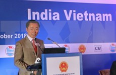 Provincia vietnamita de Hau Giang busca inversiones indias