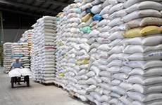 Exportador vietnamita de arroz firma contratos millonarios con Malasia y Estados Unidos 