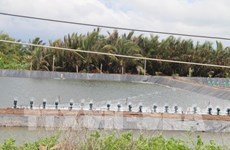 Área costera Go Cong, zona clave de exportación de productos acuáticos de Vietnam