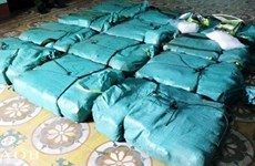 Provincia vietnamita desmantela mayor caso de contrabando de metanfetamina en Quang Binh