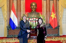 Presidenta interina de Vietnam recibe a embajadores de Países Bajos, Bélgica y Dinamarca 