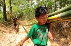 Malasia propone penas más severas a quienes explotan el trabajo infantil