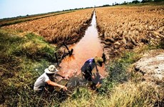 Vietnam muestra esfuerzos por implementación de acciones de respuesta a cambio climático 