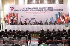 Vietnam llama a promover rol central de ASEAN en mantenimiento de paz 