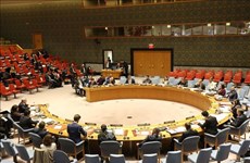 Vietnam llama a continua reforma de ONU basada en prioridades de los países 