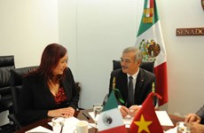 Otorga México importancia a desarrollo de relaciones multifacéticas con Vietnam