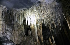 Provincia vietnamita de Quang Binh presenta nuevo recorrido de exploración de cuevas