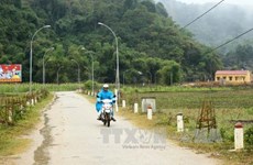 Más de tres mil 500 comunas vietnamitas cumplen estándares de zonas rurales de nuevo estilo