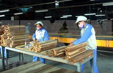 Vietnam registra superávit de casi seis mil millones de dólares en sector forestal