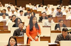 Parlamento vietnamita analiza temas vinculados al presupuesto estatal y finanzas