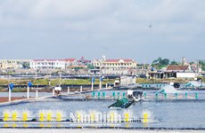 Distrito costero vietnamita de Hai Hau desarrolla economía marítima