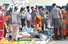 Indonesia acelera proceso de identificación de víctimas de avión accidentado