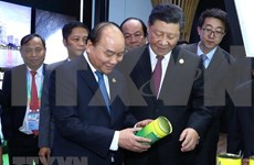 Premier de Vietnam cosecha éxitos al asistir a exposición en China, sostiene vicecanciller  