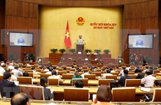 Diputados de Vietnam debaten legislaciones sobre amnistía y ganadería 