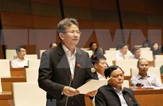 Parlamento de Vietnam aprueba previsión presupuestaria para 2019 