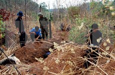  Provincia vietnamita de Thanh Hoa intensifica la búsqueda de restos de mártires 