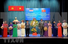 Conmemoran aniversario 45 de nexos diplomáticos Vietnam-Países Bajos