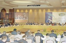 Incorporación a APEC: Visión estratégica de Vietnam sobre integración económica 