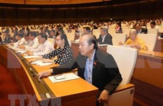 Parlamento de Vietnam aprueba Ley de Amnistía (modificada)