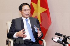 Destacan participación de Vietnam en APEC 2018 en Papúa Nueva Guinea ​
