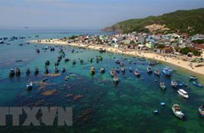 Vietnam busca impulsar conservación de ecosistema marino