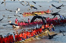 Camboya celebra Festival del Agua con regata de botes