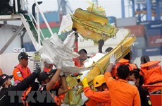Concluye la identificación de las víctimas del desastre aéreo en Indonesia 