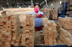 Exportaciones de madera de Vietnam se prevé alcancen ocho mil 850 millones de dólares este año