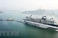 Nuevo puerto vietnamita de Hon Gai recibe primer crucero con tres mil visitantes  